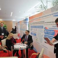 Как не попасть в ловушку: проверка фирмы по ИНН в Узбекистане